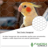 tela hexagonal galvanizada Lagarto