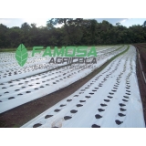 tela mulching branca Acre