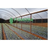 tela mulching para plantio preço Petrópolis