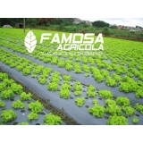 tela mulching preto Bonsucesso