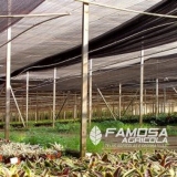tela para projetos agrícolas Domingos Martins