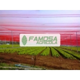 tela para sombreamento de horta São Gonçalo