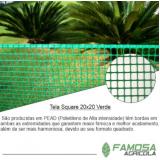 tela touro square 20x20 Machadinho d'Oeste