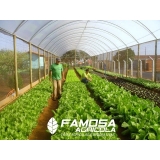 telas agrícolas de horta Caieiras