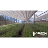 venda de aluminet para orquidário Navegantes