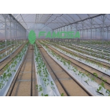 venda de lona agrícola branca para estufa Vilhena