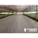 venda de ráfia de solo de plástico Maranhão