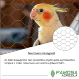 venda de tela aviário profissional Bragança