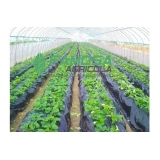 venda de tela mulching preto Bagé