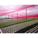 venda de tela sombreamento agrícola Epitaciolândia