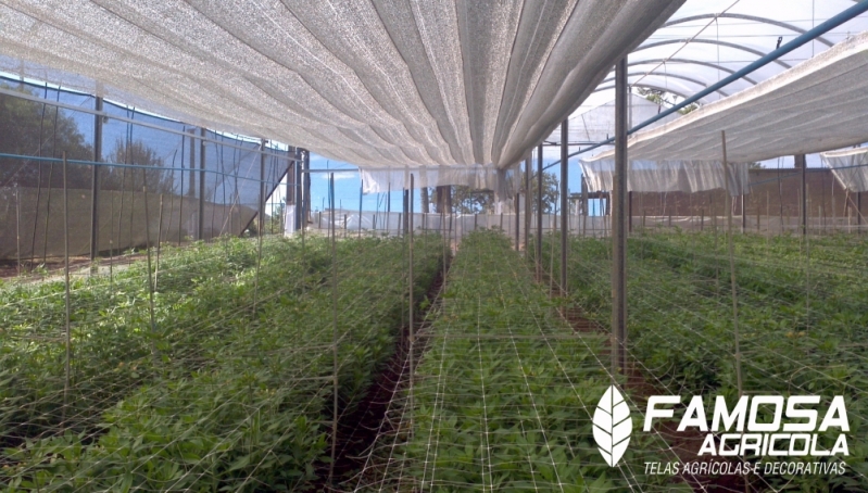 Venda de Aluminet para Orquidário Santa Isabel - Aluminet 80 para Estufa