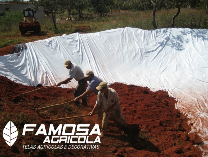 Venda de Lona Agrícola Branca Camaragibe - Tela Mulching Branca