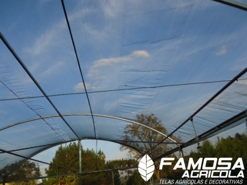 Venda de Lona Agrícola Preta para Estufa Três Lagoas - Ráfia de Solo Carijo