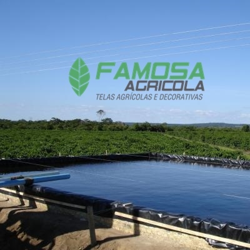 Venda de Lona Agrícola Preta Itapipoca - Ráfia de Solo de Plástico