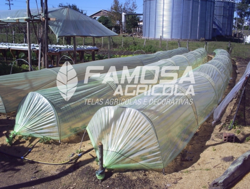 Venda de Tela Agrícola Mini Túnel para Plantas Piracuruca - Tela Mulching Branca