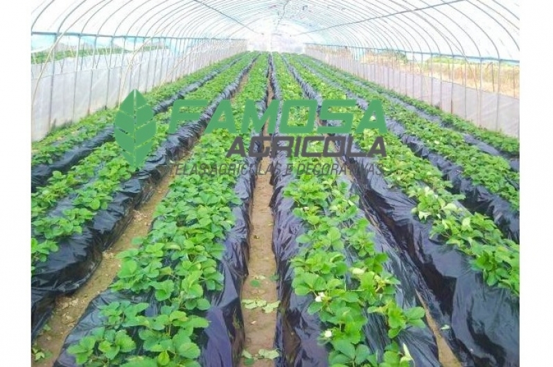 Venda de Tela Mulching Preto Navegantes - Lona Agrícola Preta para Estufa