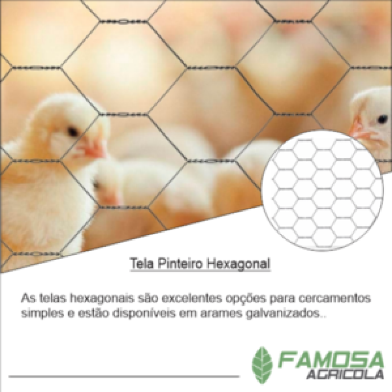 Venda de Tela para Viveiro de Aves Acrelândia - Tela para Viveiro de Aves