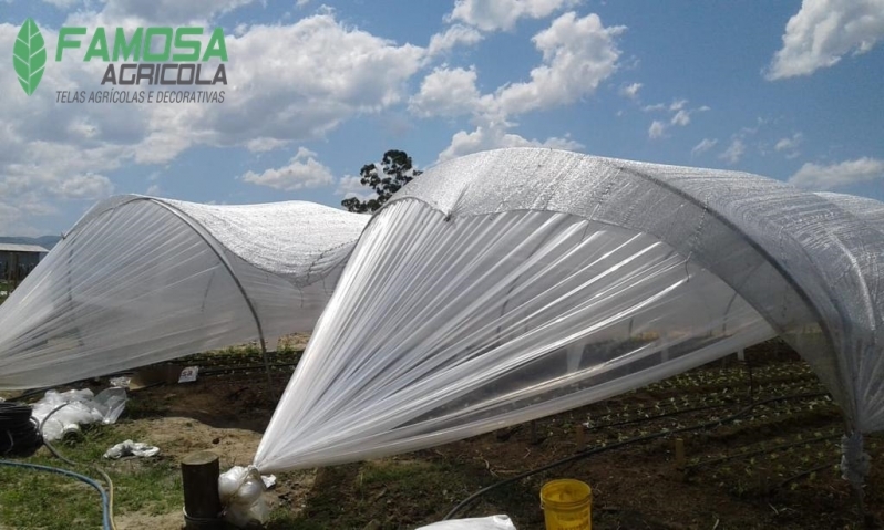 Venda de Tela Térmica Agrícola Luziânia - Tela Agrícola Anti Granizo