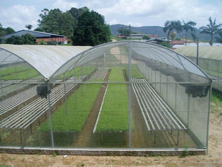 O que é cultivo protegido e qual a sua finalidade?