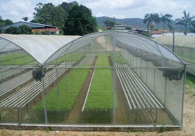 O que é cultivo protegido e qual a sua finalidade?