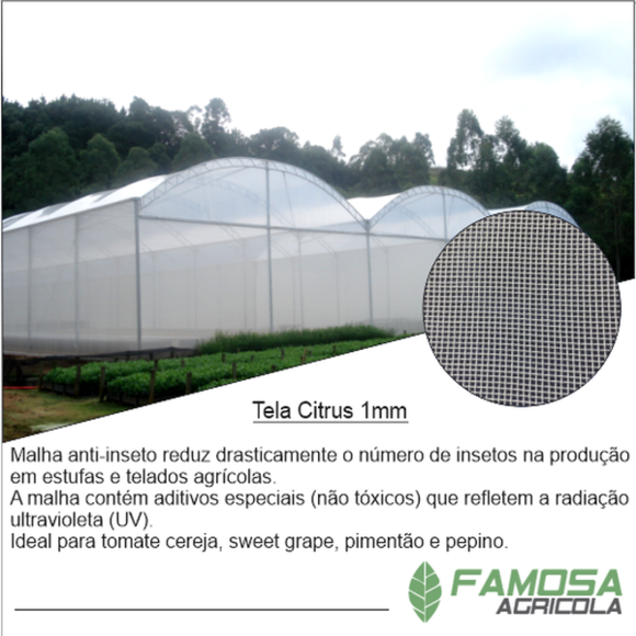 Tela Citrus Anti Inseto 1mm