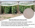 Tela Monofilamento Branca 50%