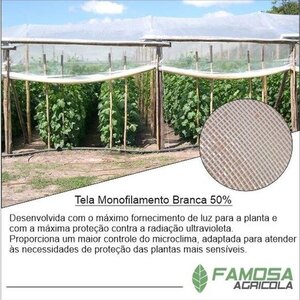 Tela Monofilamento Branca 50%