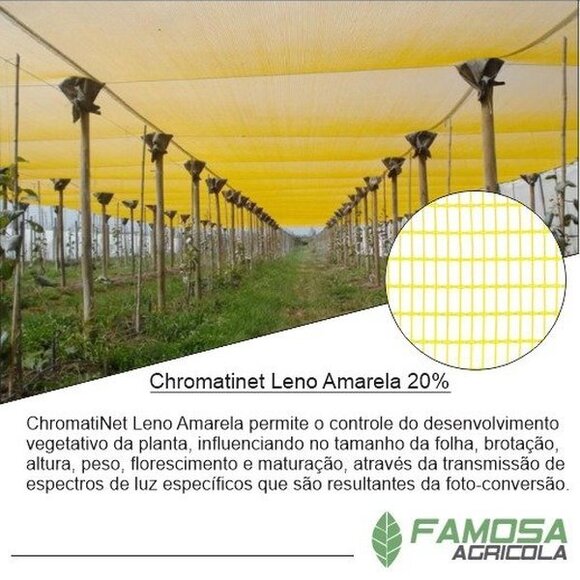 Tela Chromatinet Leno Amarela 20%
