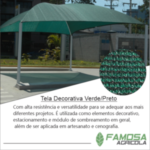 Tela Decorativa Verde/Preto