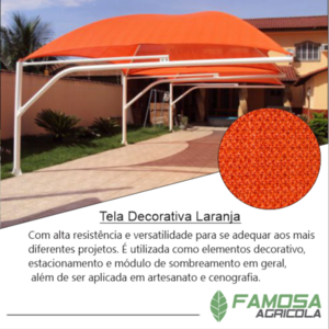 Tela Decorativa Laranja