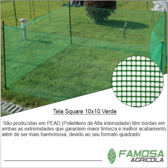 Tela Square 10x10 verde