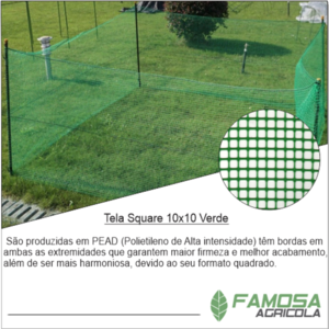 Tela Square 10x10 verde