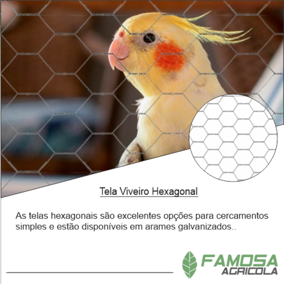 Tela Hexagonal Viveiro 1/2