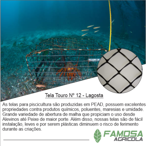 Tela Lagosta nº 12 Preta