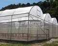 Tela Optinet 50 Mesh