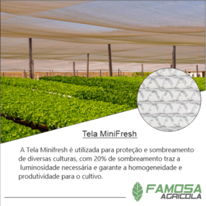 Tela Alface 20% Mini Fresh