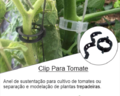 Clip Tomate